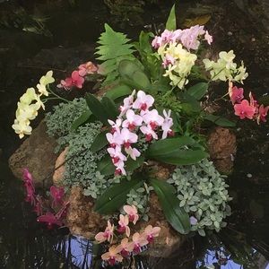 Meet your Posher, Colby